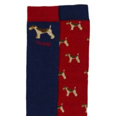 Toggi Womens Terrier Socks 2pk  Blue / Red