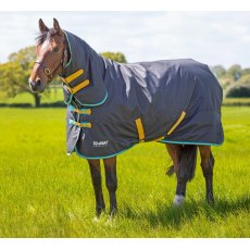 Shires Tempest Original 300 Combo Turnout Rug