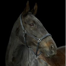 Gallop Leather Padded Headcollar