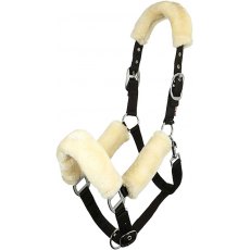 LeMieux Comfort Headcollar