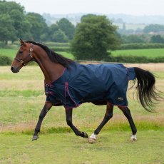 Gallop Trojan 50 Standard Turnout