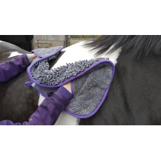 Henry Wag Equine Microfibre/noodle Glove Towel Large