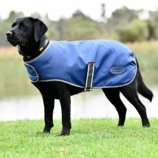 Weatherbeeta Comfitec Windbreaker Free Dog Coat