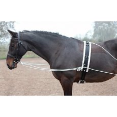 Shires Lunging Aid