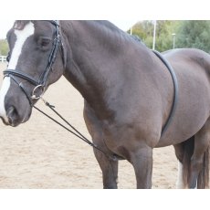 Shires Soft Lunge Aid