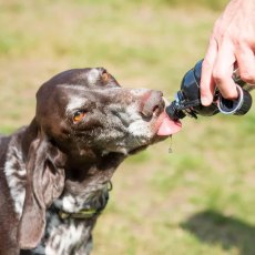 Long Paws Pet Water Bottle