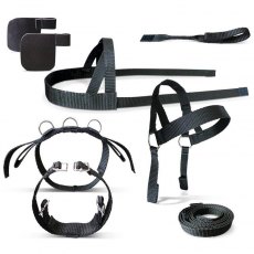 Crafty Ponies Driving Harness