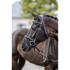 LeMieux Kudos Work Bridle