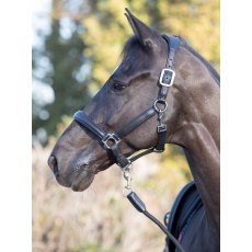 LeMieux Anatomic Headcollar