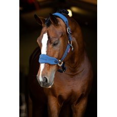 LeMieux AW23 Vogue Headcollar and Leadrope Set