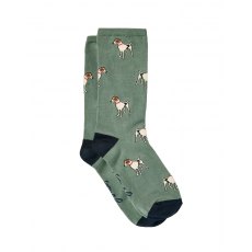 Joules Ladies' Excellent Everyday Socks