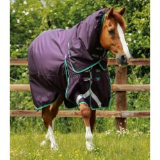 Buster 200g Turnout Rug with Snug-Fit Neck Cover