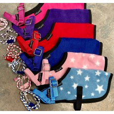 CRAFTY FOAL RUG SET