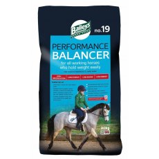 Baileys No.19 Performance Balancer - 20kg