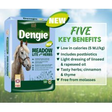 Dengie Meadow Lite with Herbs - 15kg