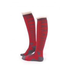 Shires Aubrion Springer Compression Socks