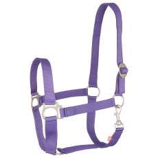 Imperial Riding Headcollar Irheconomic Royal Purple