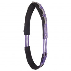 Imperial Riding Lunging Girth Nylon Irhdeluxe Royal Purple