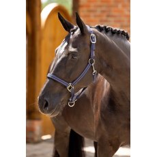 LeMieux Essential Yard Headcollar