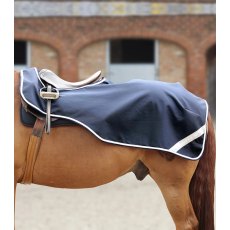 Premier Equine Horse Exercise Sheet