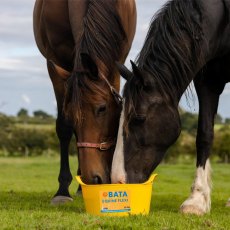 Dallas Keith Equine Flexi Trug - 12.5kg