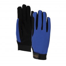 Shires Aubrion Team Winter Riding Gloves