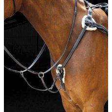 SHIRES SALISBURY FIVE POINT BREASTPLATE