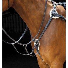 Shires Salisbury Five Point Breastplate