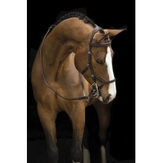 Rambo Micklem Original Competition Bridle