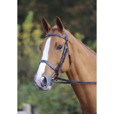 Aviemore/velociti Plain Bridle