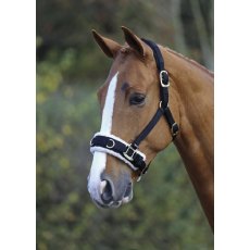 SHIRES FLEECE LINED BLACK LUNGE CAVESSON