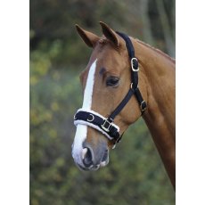 Shires Fleece Lined Black Lunge Cavesson