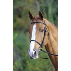 Aviemore/velociti Raised Cavesson Bridle