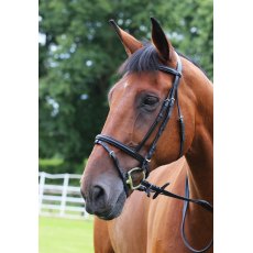 Gallop Economy  Bridle With Flash