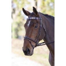 SHIRES BLENHEIM LEATHER POLO BROWBAND