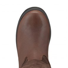 Ariat Women's Windermere Tall Boots