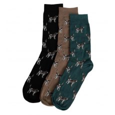 Barbour Pointer Dog Sock Gift Set