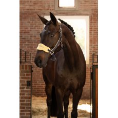 LeMieux Vogue Headcollar