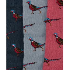Barbour Men's Pheasant Socks Gift Box