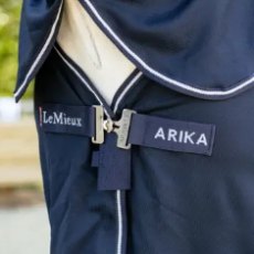 Lemieux Arika Dryease Rug , Navy