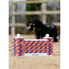 Lemieux Toy Pony Puissance Wall