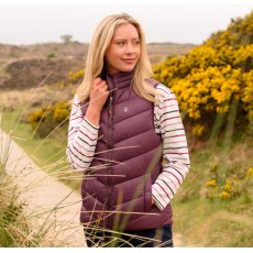 Lighthouse Women's Laurel Gilet Lighthouse Women's Laurel Gilet