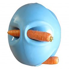 Carrot Ball Toy