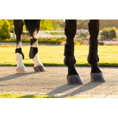 LeMieux Arika Tendon Boot