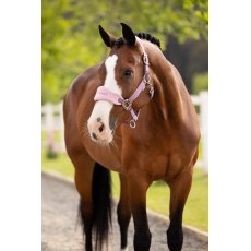 LeMieux Vogue Headcollar & Leadrope