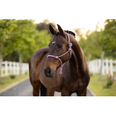 LeMieux Rope Halter LeMieux Rope Halter