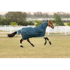LeMieux Arika Ripstop 50G Turnout Rug LeMieux Arika Ripstop 50G Turnout Rug