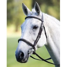 Shires Avignon Raised Cavesson Bridle