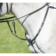 Shires Avignon Breastplate