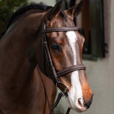 LeMieux Stitched Hunter Bridle with Laced Reins LeMieux Stitched Hunter Bridle with Laced Reins